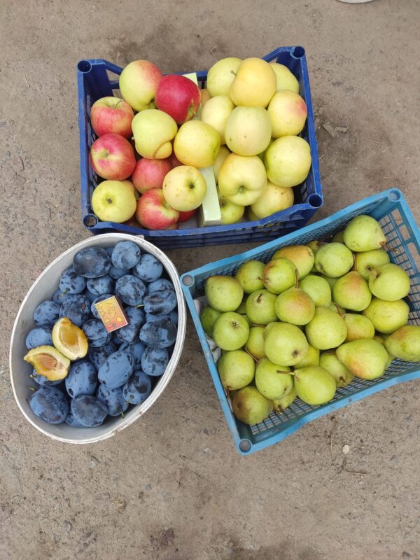 471782778_1447423329548682_5214139767667511230_n Чачакська найбільша