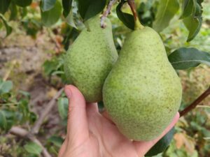 IMG_20240904_112229 Давид