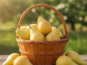 Цегледі Бібер